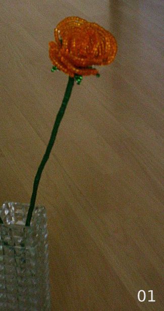 11.01._006.jpg