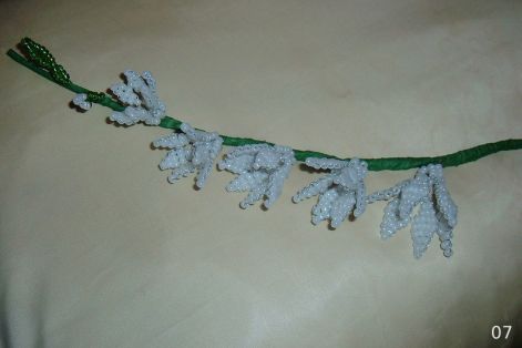 2007.12.29._015.jpg