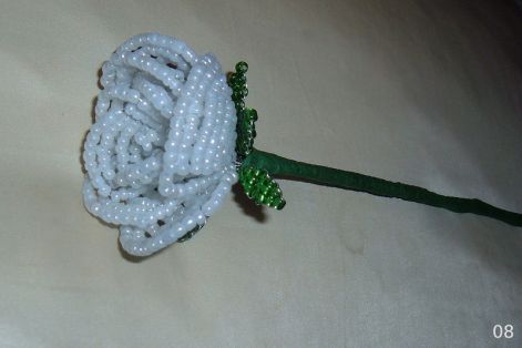 2007.12.29._016.jpg