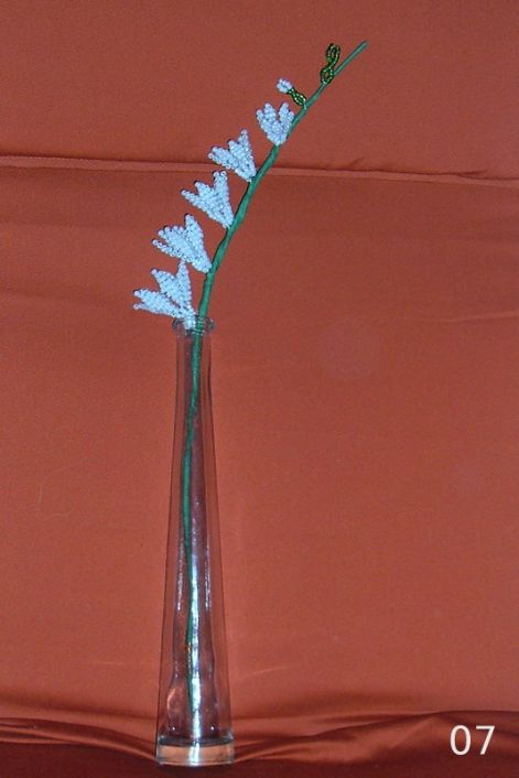2007.12.29._021.jpg
