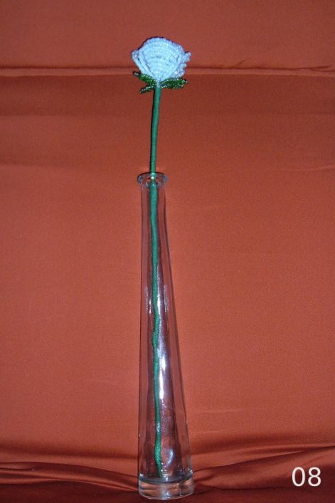 2007.12.29._022.jpg