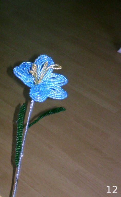 2008.06.04._001.jpg