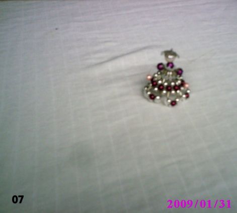 2009.01.30._004-1.jpg
