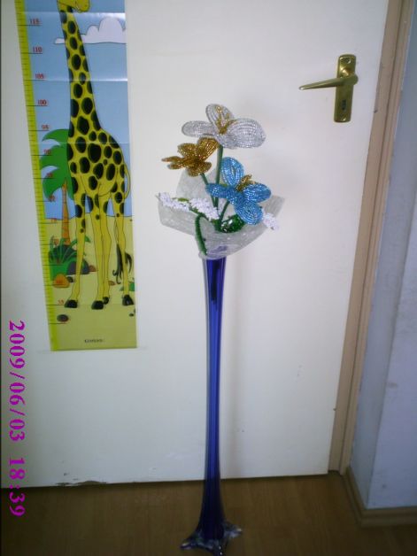 2009.06.03_001.jpg