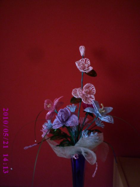 2010.05.21._001.jpg